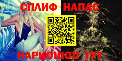 а пвп мука Беслан