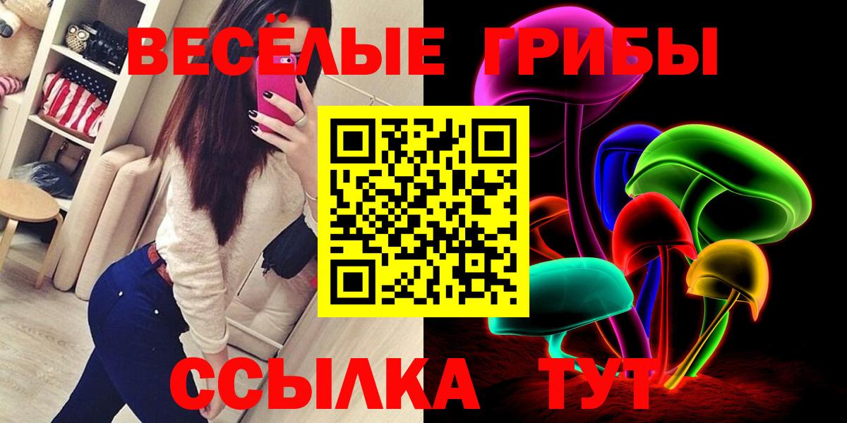 Псилоцибиновые грибы Cubensis Черногорск