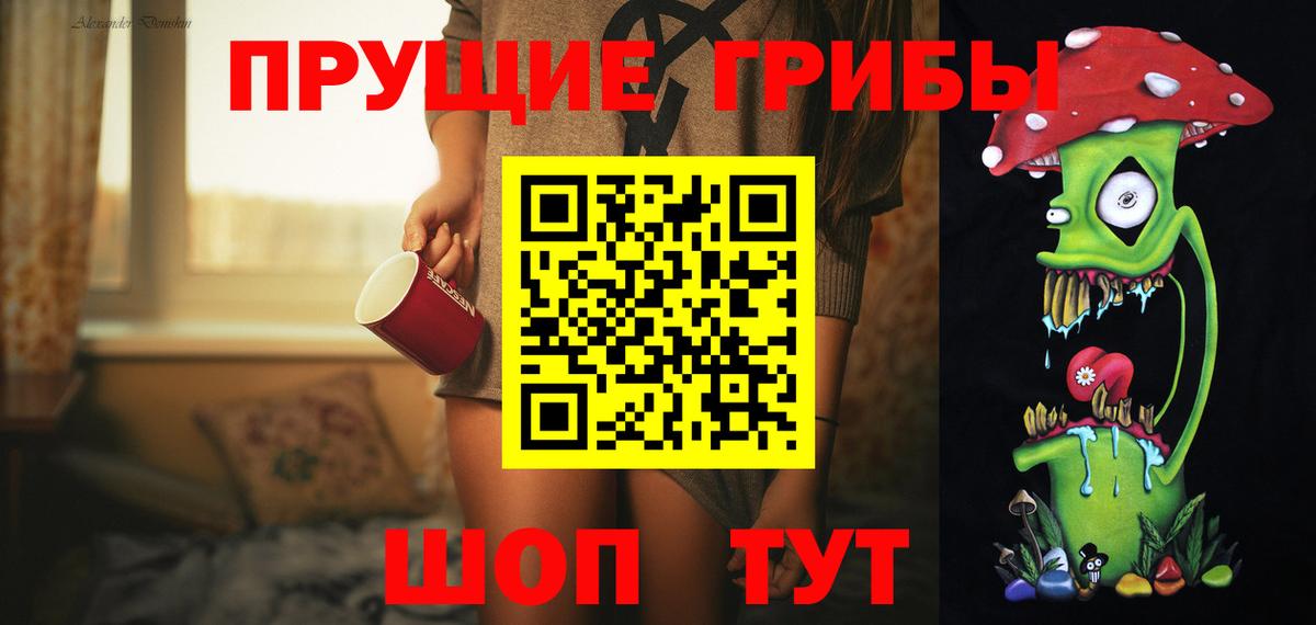 Галлюциногенные грибы прущие грибы  Вход с VPN  Черногорск  Псилоцибиновые грибы мицелий 