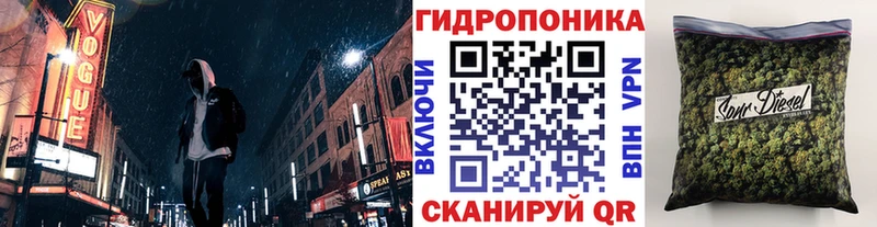Шишки марихуана индика  omg ONION  Черногорск  купить  сайты 