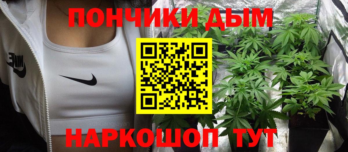 Шишки марихуана тримм  Вход с VPN  Черногорск  Шишки марихуана THC 21%  Бошки Шишки Amnesia  Каннабис Amnesia 