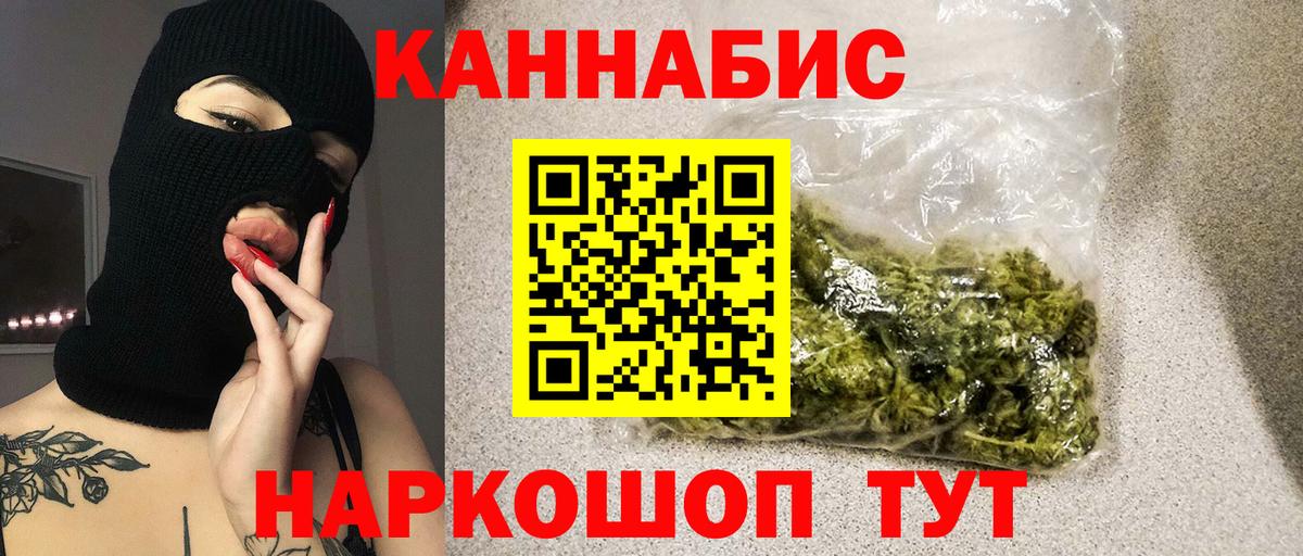 Конопля сатива Черногорск